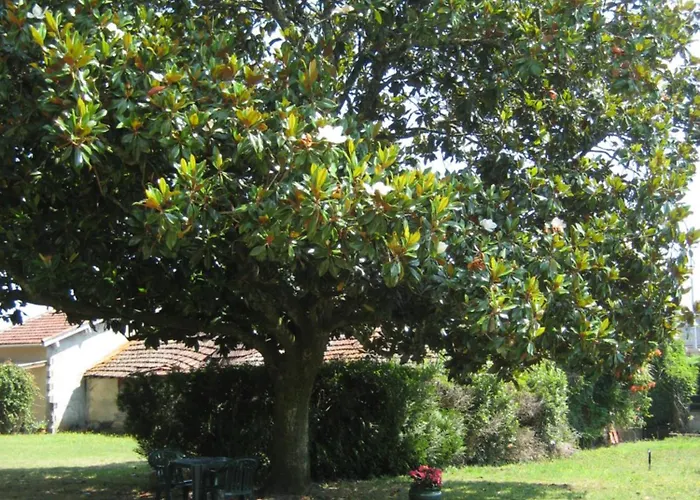 Bellevue De Tradition Familiale Отель 2*